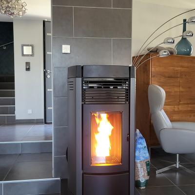 MCZ Musa 10kW version Maestro M1, connexion Wifi (Aubière)